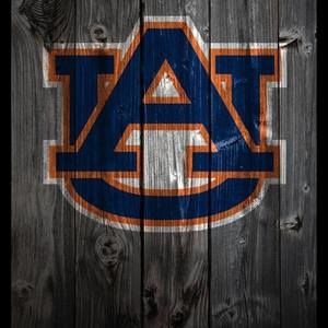 Meet your Posher, Demone